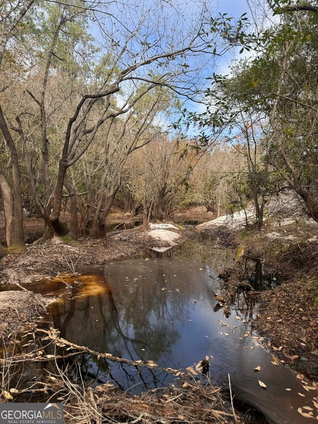 0 Highway 185, Home with 0 bedrooms, 0 bathrooms and null parking in Saint George GA | Image 45
