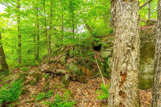 0 Prestige Crt, Home with 0 bedrooms, 0 bathrooms and null parking in Haliburton ON | Image 6