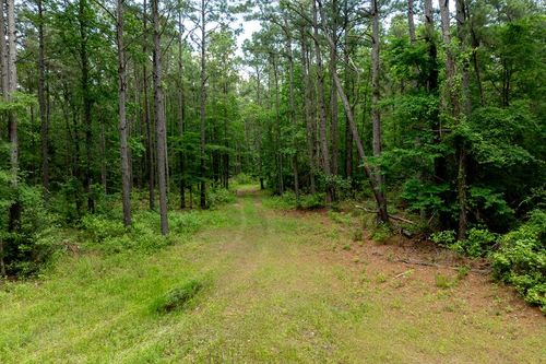 3962 County Road 1095, Kennard, TX, 75847 | Card Image