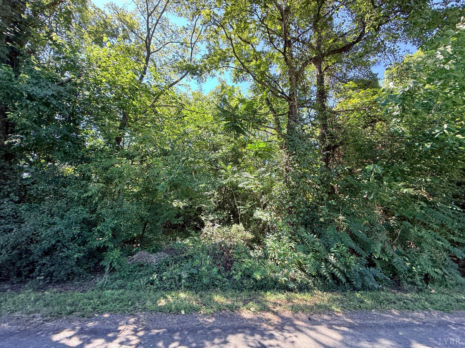 Land in Chatham 4