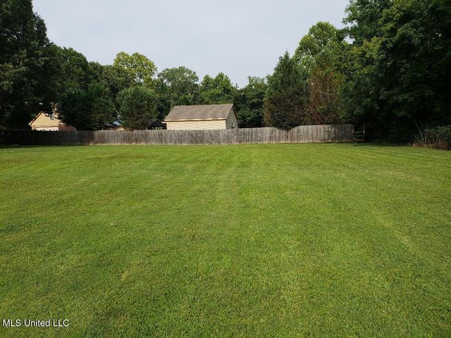 backyard | Image 4