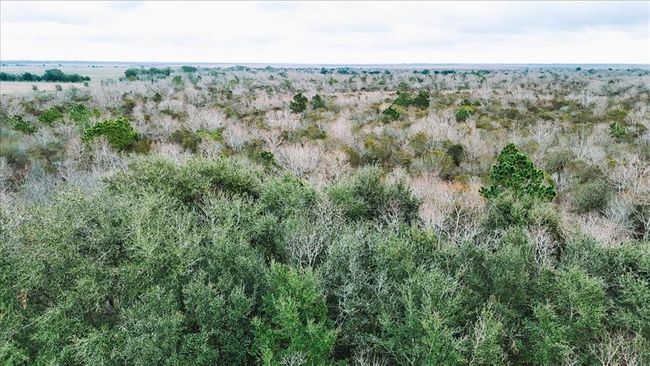 0000 Gulfway Dr, Home with 0 bedrooms, 0 bathrooms and null parking in Stowell TX | Image 20
