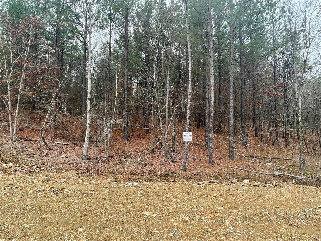Land in Broken Bow 2