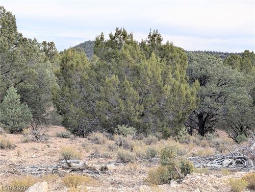 Lot 1-B Side Hill Rd, Pioche, NV, 89043 | Card Image