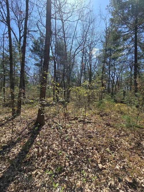 TBD N Locust Ave, White Cloud, MI, 49349 | Card Image