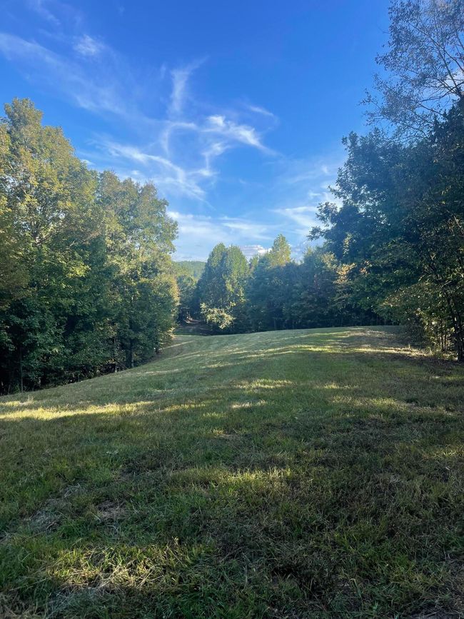 450 County Road 28, House other with 4 bedrooms, 3 bathrooms and null parking in Calhoun TN | Image 114
