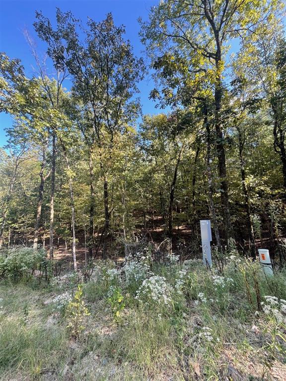 Land in Broken Bow 3
