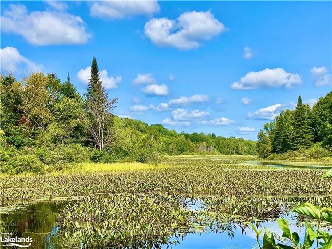 22-A Maple Dr, Home with 0 bedrooms, 0 bathrooms and null parking in Loring ON | Image 13
