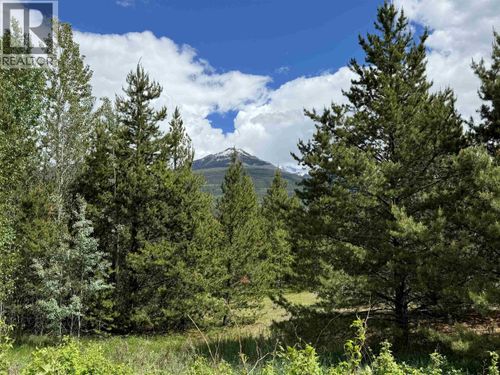 lot-2 Starview Rd, Valemount, BC, V0E2Z0 | Card Image