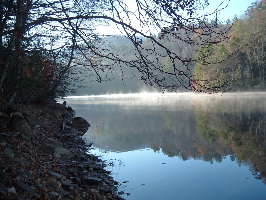 Land in Tuckasegee 5