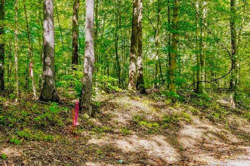 00 Bolestown Loop, Alpine, TN, 38543 | Card Image