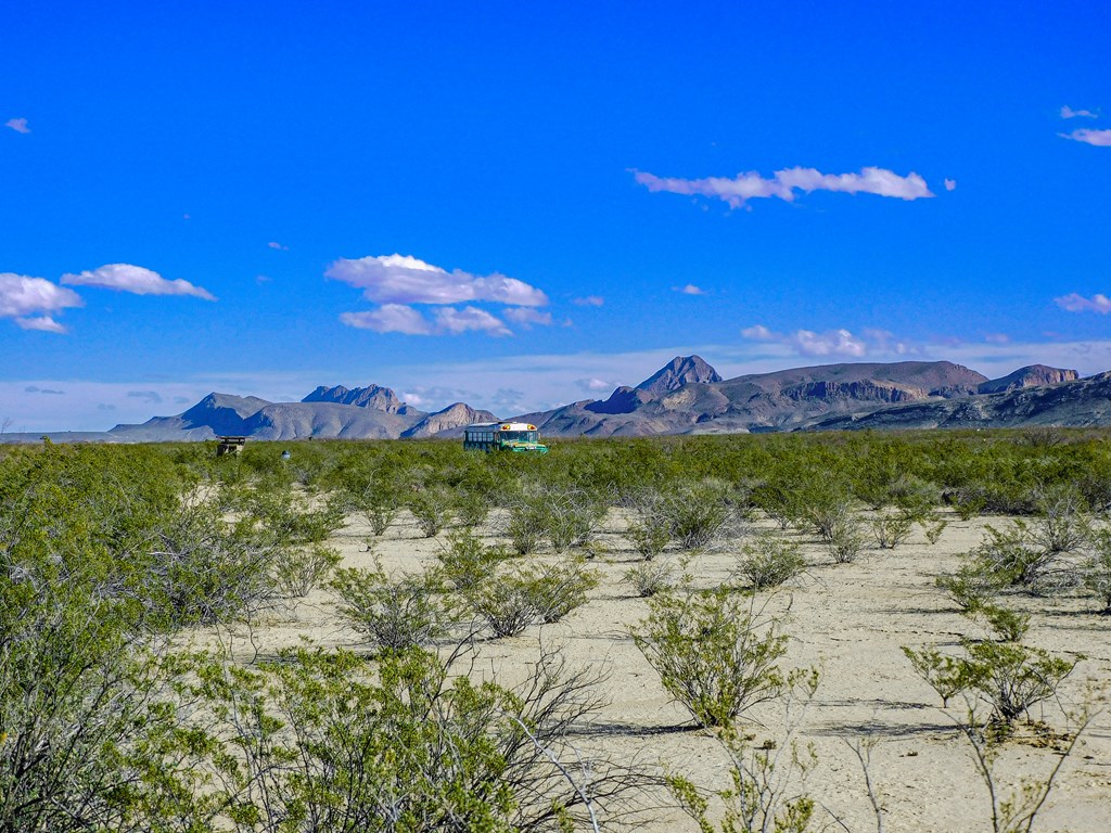 Land in Terlingua 4