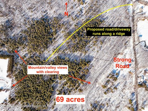 Tbd Strong Rd, Cornwallville, NY, 12418 | Card Image