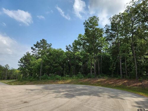 3281 Shadow Pine Dr, Larue, TX, 75770-1205 | Card Image