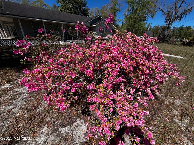 5398 Laurie Ln, House other with 2 bedrooms, 2 bathrooms and null parking in MIDDLEBURG FL | Image 54