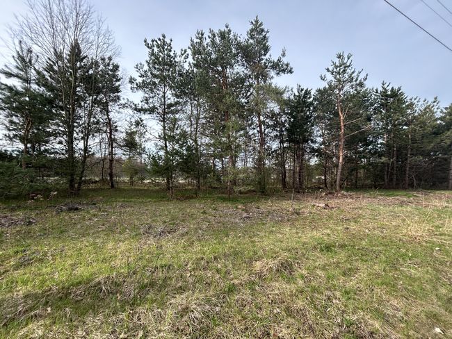 LOT-25 - V/L E Sternberg Road, Home with 0 bedrooms, 0 bathrooms and null parking in Fruitport MI | Image 4