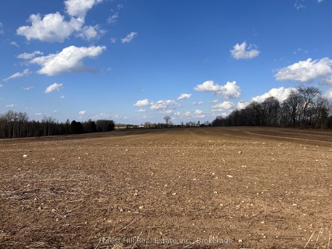 PtLt133 Conc1 N/A, Home with 0 bedrooms, 0 bathrooms and null parking in Grey Highlands ON | Image 6
