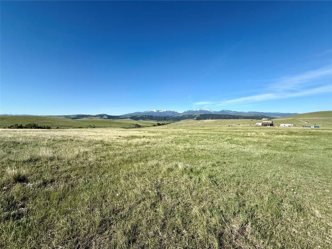 Neighbors To The West | Image 12