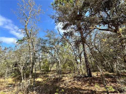 TBD Ne 68th Pl, BRONSON, FL, 32621 | Card Image