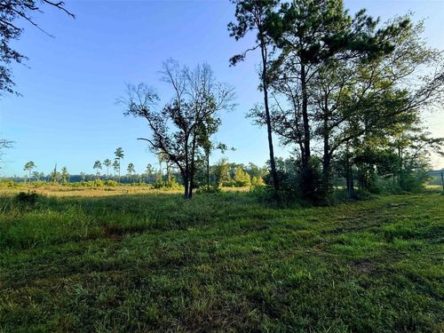 000 Fm 1003 S, Kountze, TX, 77625 | Card Image