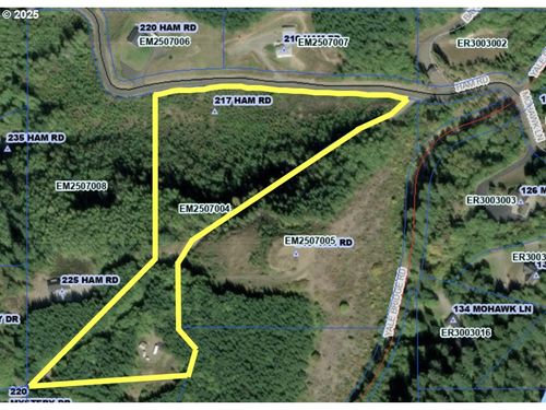 217 Ham Rd, AMBOY, WA, 98601-9409 | Card Image