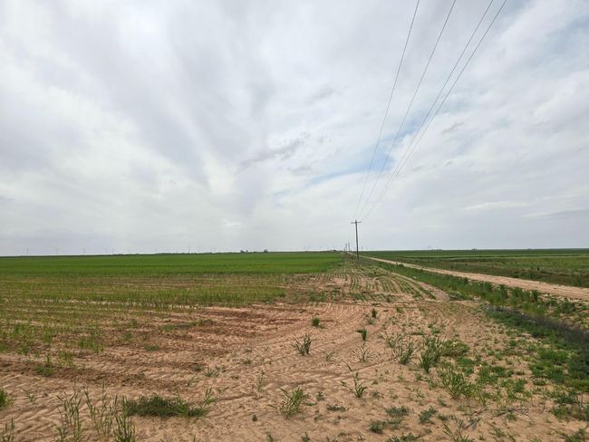 0 County Road 24, Home with 0 bedrooms, 0 bathrooms and null parking in Post TX | Image 9