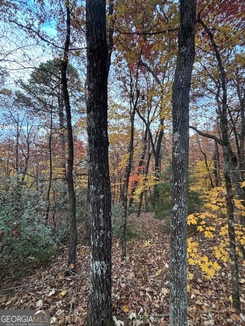 595 Whispering Dl, Clarkesville, GA, 30523-1435 | Card Image