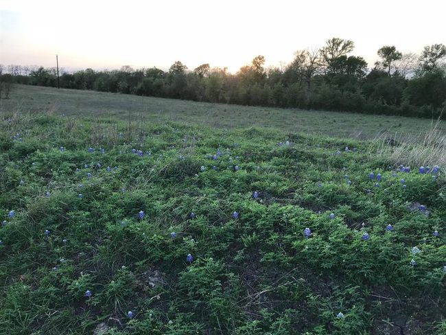 5796 Hurtig Rd, Home with 0 bedrooms, 0 bathrooms and null parking in Bleiblerville TX | Image 11