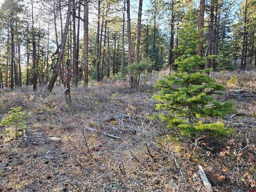 73 Snow Way Dr, Bayfield, CO, 81122 | Card Image