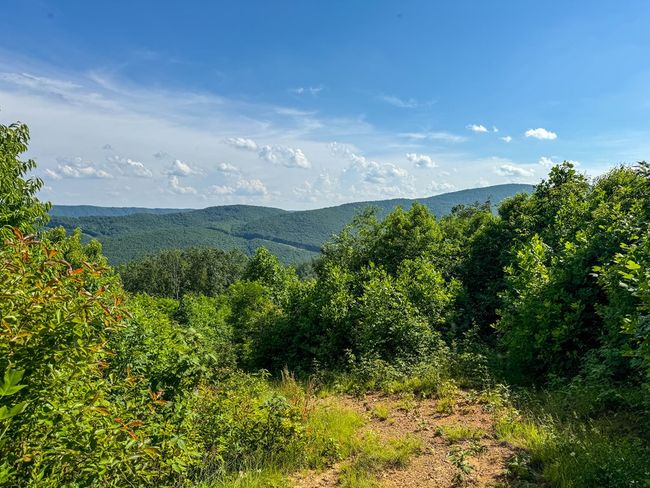 2486 Laurel Fork Rd, Home with 0 bedrooms, 0 bathrooms and null parking in Rocky Gap VA | Image 45