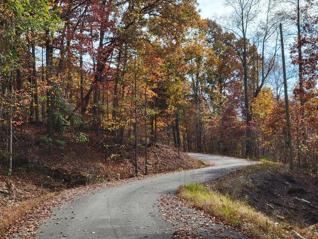11 Raulstontown Road, Home with 0 bedrooms, 0 bathrooms and null parking in South Pittsburg TN | Image 7