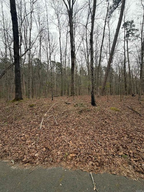 4 Sumar Ln, Hot Springs Village, AR, 71909-3803 | Card Image