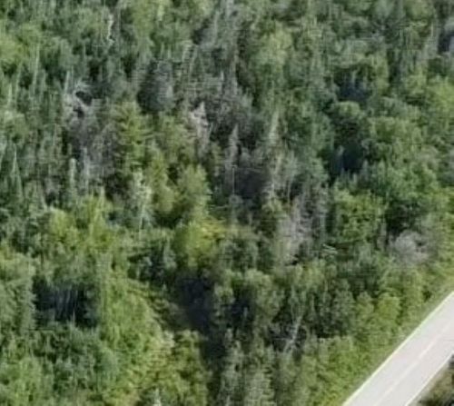 Lot Rockland Road, Rockland, NS, B0T1V0 | Card Image