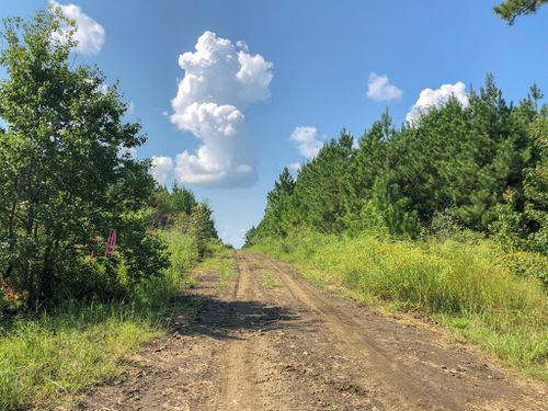 0 Fm 1746, Woodville, TX, 75979 | Card Image