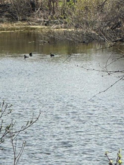 Lot K8023 Dew Drop, Horseshoe Bay, TX, 78657 | Card Image