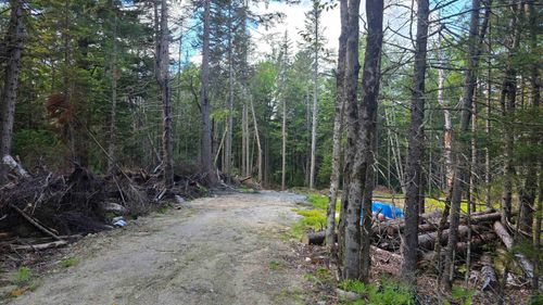 M10 L41 Taylor Circle, Washington, NH, 03280 | Card Image