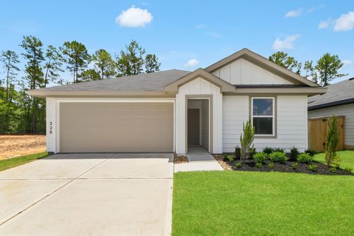228 Golden Eagle Blvd, New Waverly, TX, 77358-0196 | Card Image