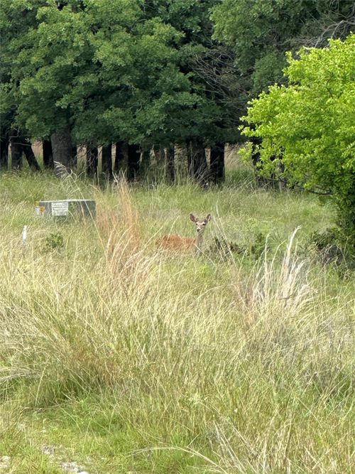 Lot 237 Vista Pointe Drive, Chico, TX, 76431 | Card Image
