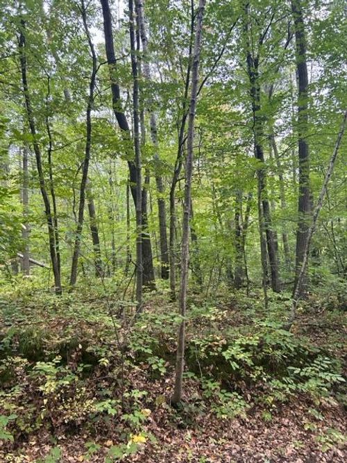 xxx West Lake Camile Dr/Topaz Trl, Cushing Twp, MN, 56443 | Card Image