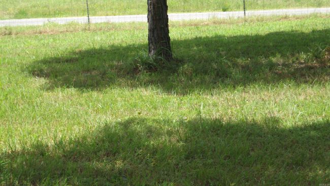 00 Morgan Rd, Home with 0 bedrooms, 0 bathrooms and null parking in Rose Bud AR | Image 19