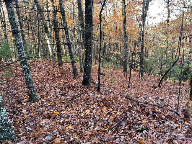 4 - 9999 Sassafras Ln, Home with 0 bedrooms, 0 bathrooms and null parking in Cedar Mountain NC | Image 31