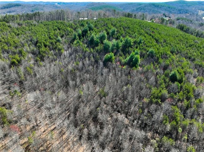 30.19 Acres (Off Of) Belvedere Dr, Home with 0 bedrooms, 0 bathrooms and null parking in Fieldale VA | Image 13