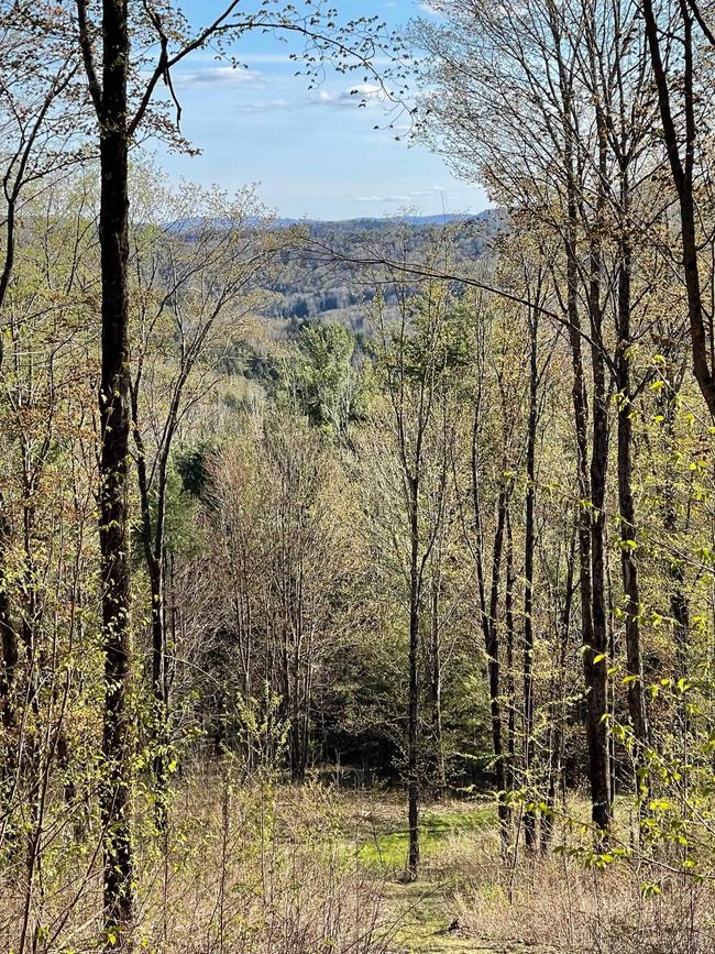 5000 Route 106, Home with 0 bedrooms, 0 bathrooms and null parking in Reading VT | Image 5