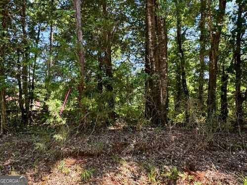 0 Kendall Rd, Yatesville, GA, 31097 | Card Image
