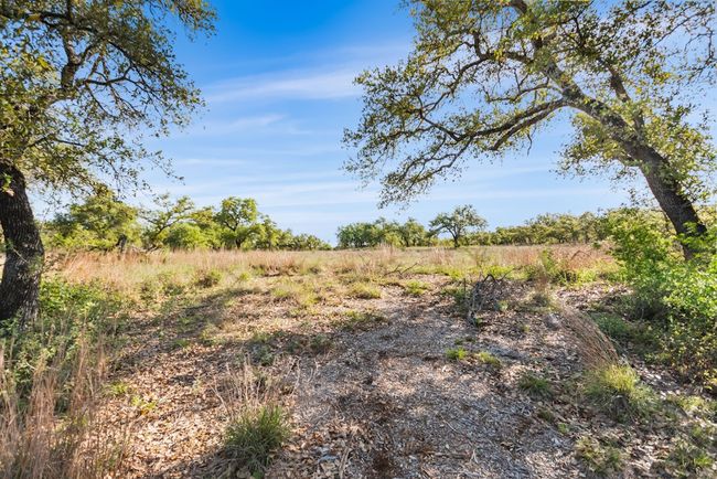 Meadow as well as ample trees | Image 37