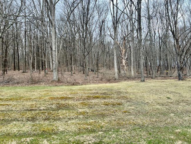 View of landscape | Image 9