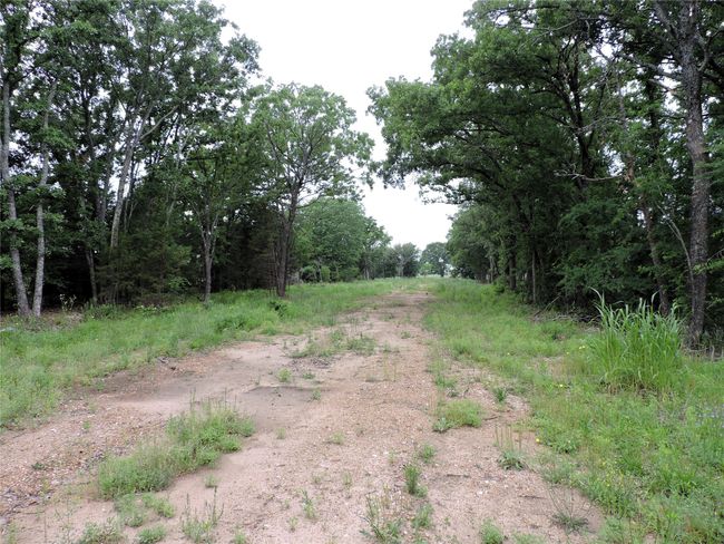 0 E Highway 175, Home with 0 bedrooms, 0 bathrooms and null parking in Mabank TX | Image 14