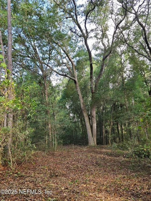 136 Lemon St, POMONA PARK, FL, 32181-3317 | Card Image