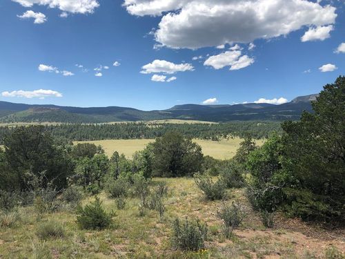Lot 15 Rosebush Rd, Canon City, CO, 81212 | Card Image