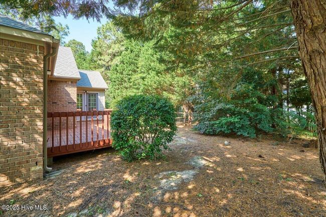 backyard | Image 7